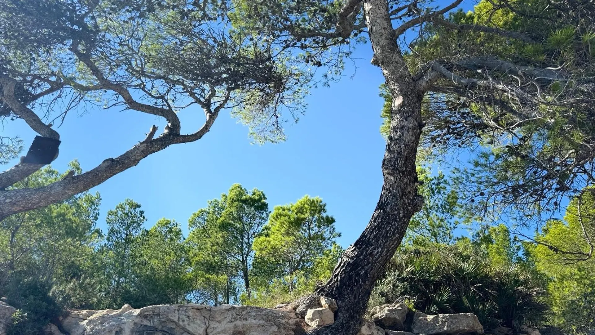 Villa Cassa Jessi Tarragona España